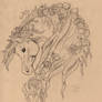Shannara drawing