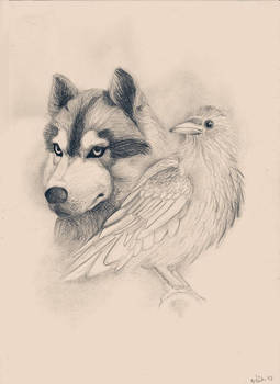 when the wolf fell in love with the raven