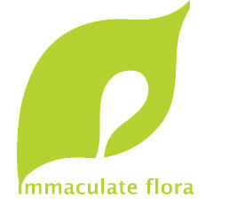 Immaculate Flora