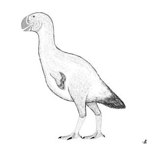 Gastornis parisiensis