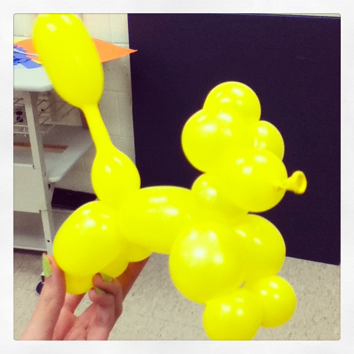 Balloon Poodle