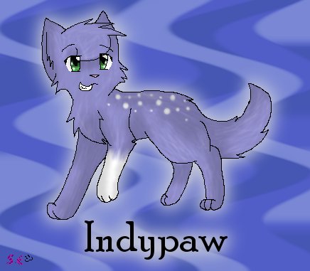 Indypaw