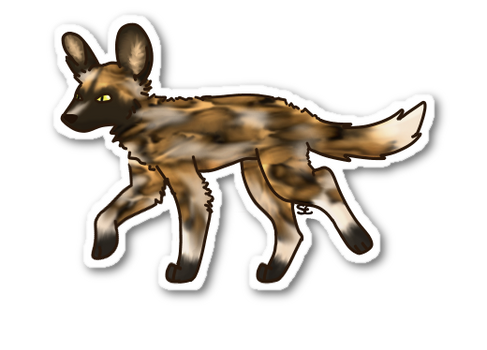 African Wild Dog