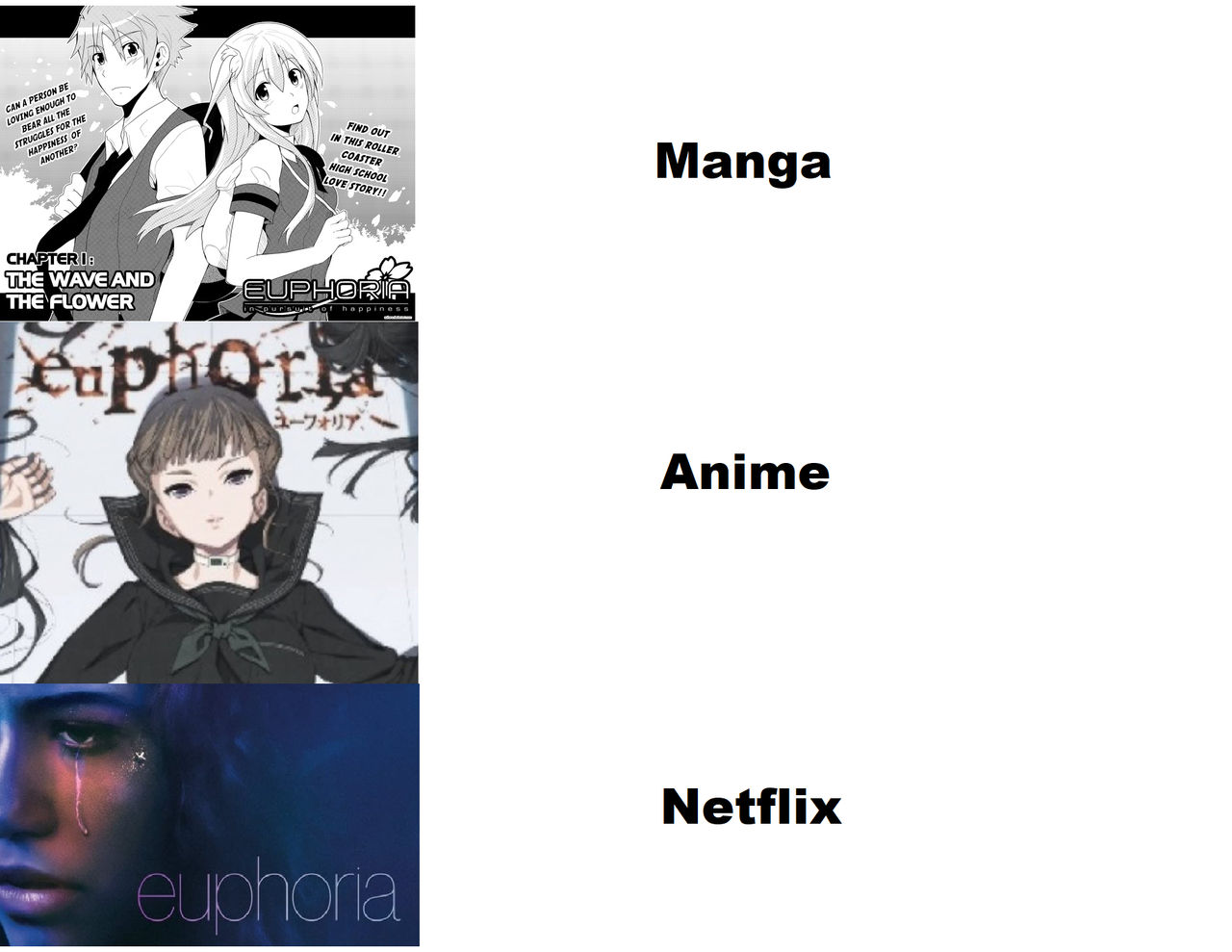 Euphoria meme by ShellingRelic58 on DeviantArt