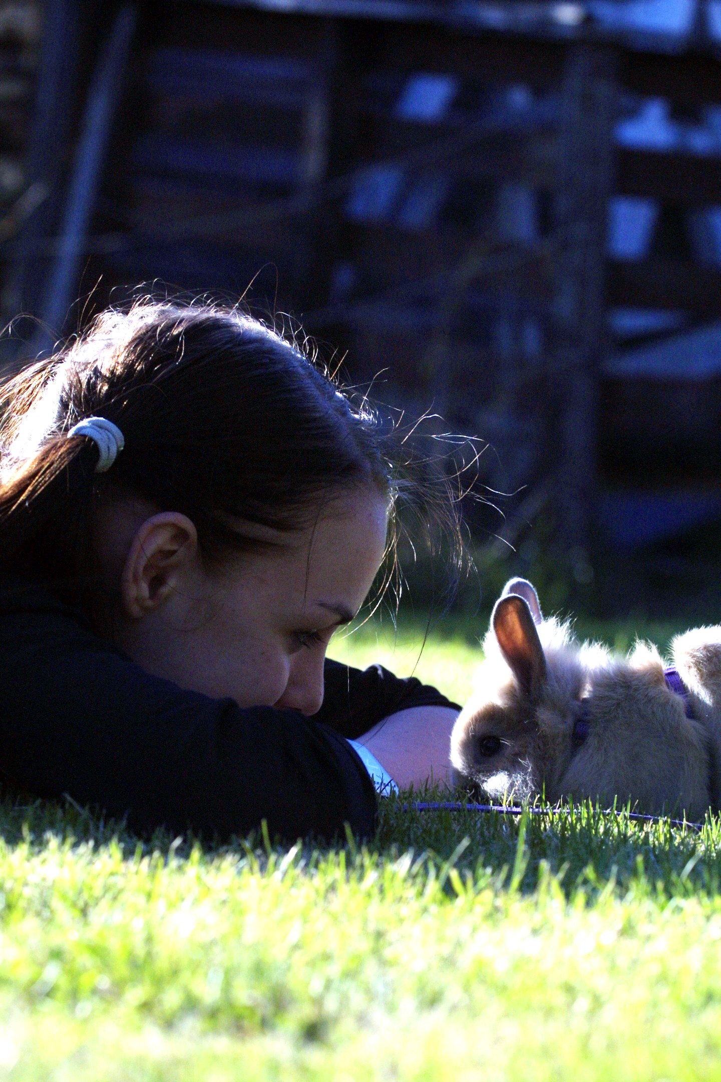 Sara and the bunny