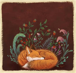 Sleepy fox