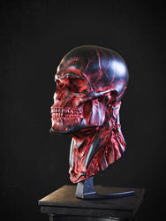 Biomech skull - Red