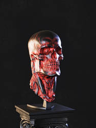 Biomech skull - Red 2