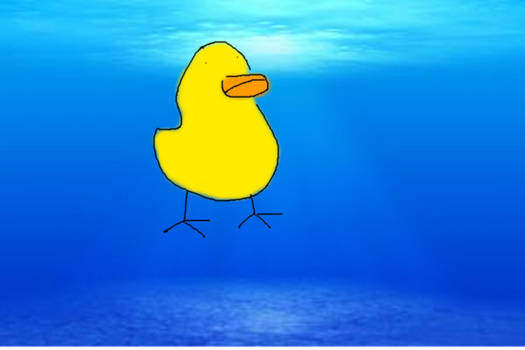 duck