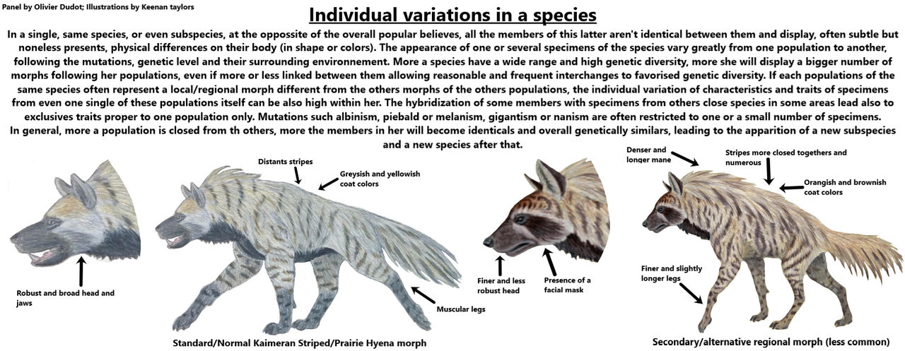 Individual variations within a species by OlivierDudot on DeviantArt