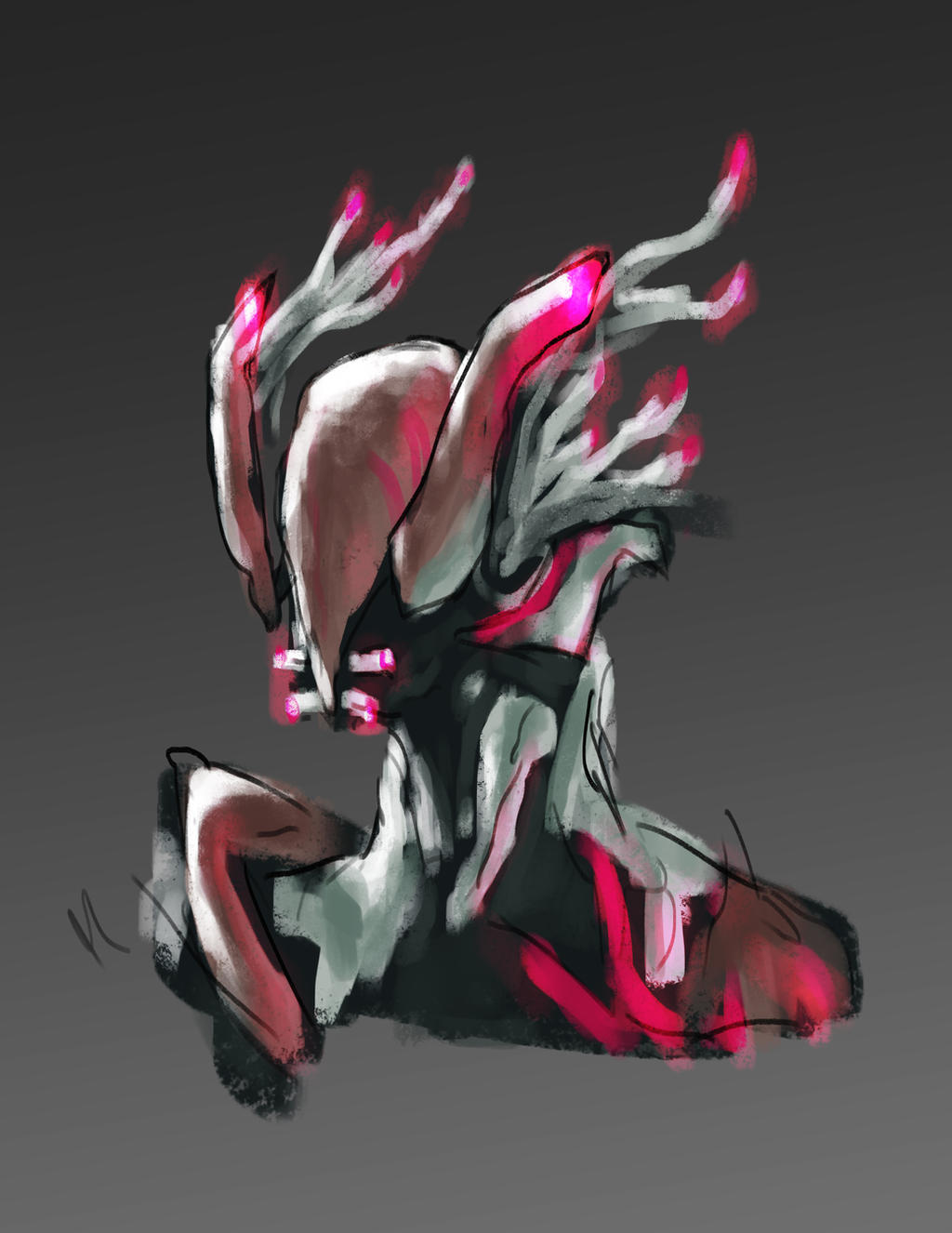 nidus