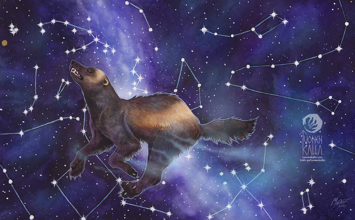 Stargazer by Tuonenkalla on DeviantArt