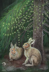 Little Hares