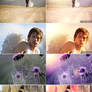 Flare Lights Photoshop Action Pack II