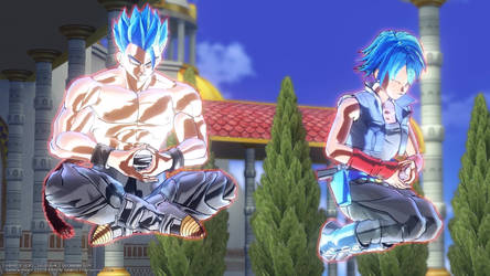 Super Saiyan Blue Evolution