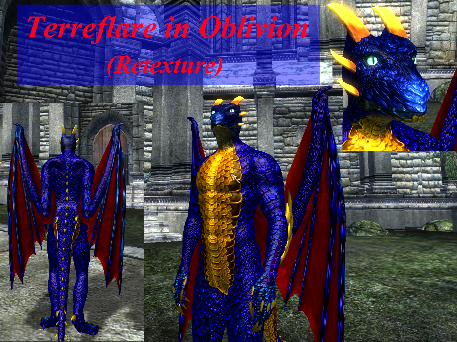 Terre-Retexture in Oblivion Mod