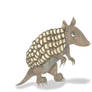 Armadillo