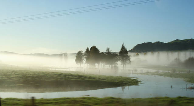 Misty Flooding