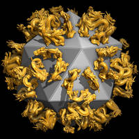 Icosahedral Dragons