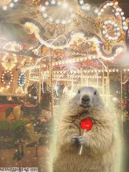 Marmot at funfair