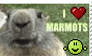 Stamp - I love marmots