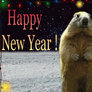 Happy New Year from marmots