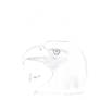 my eagle drawing