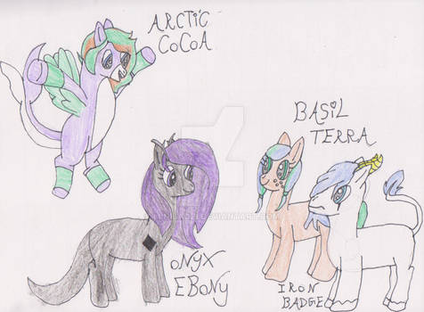 Adopted Ponies! 4