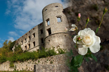 Castle walls