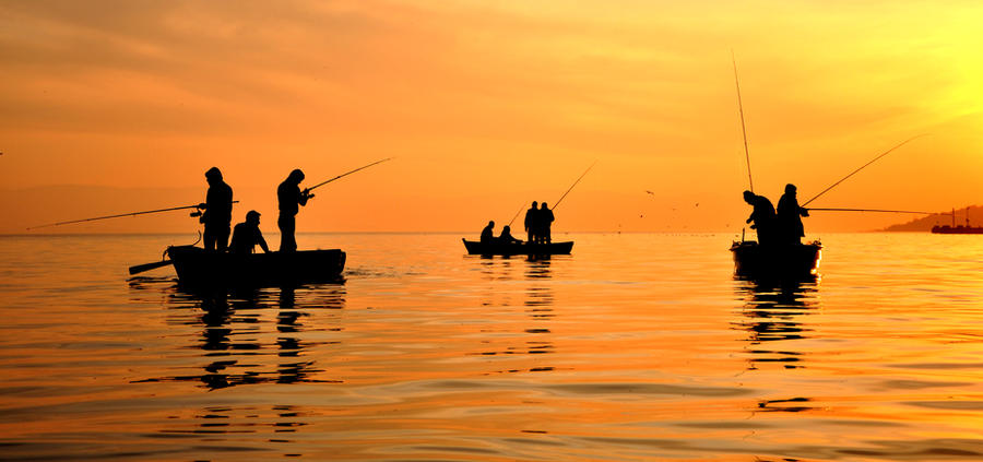 Fishing together