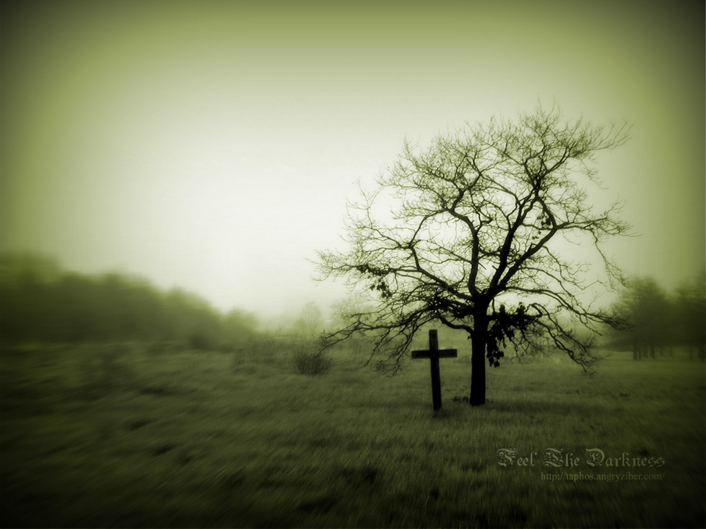 Lonely grave and a dead tree