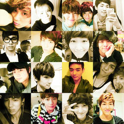 Shineeselcas