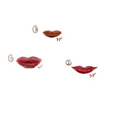 Lip Study