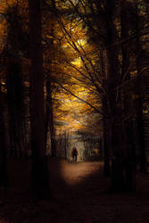 Autumn Trail by Dzieziu