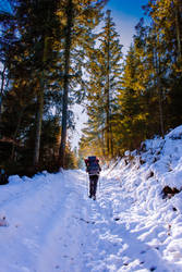 Winter Trail by Dzieziu