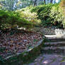 Garden Path_Autumn 2 - Stock