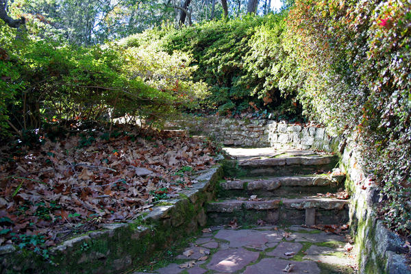 Garden Path_Autumn 2 - Stock