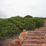 Background_Stairs 1- Stock