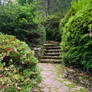 Garden Path _ Stock