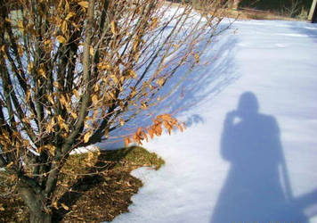 Photographer's Shadow