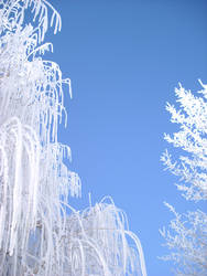 Hoarfrost