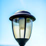 The Daylight Lamp