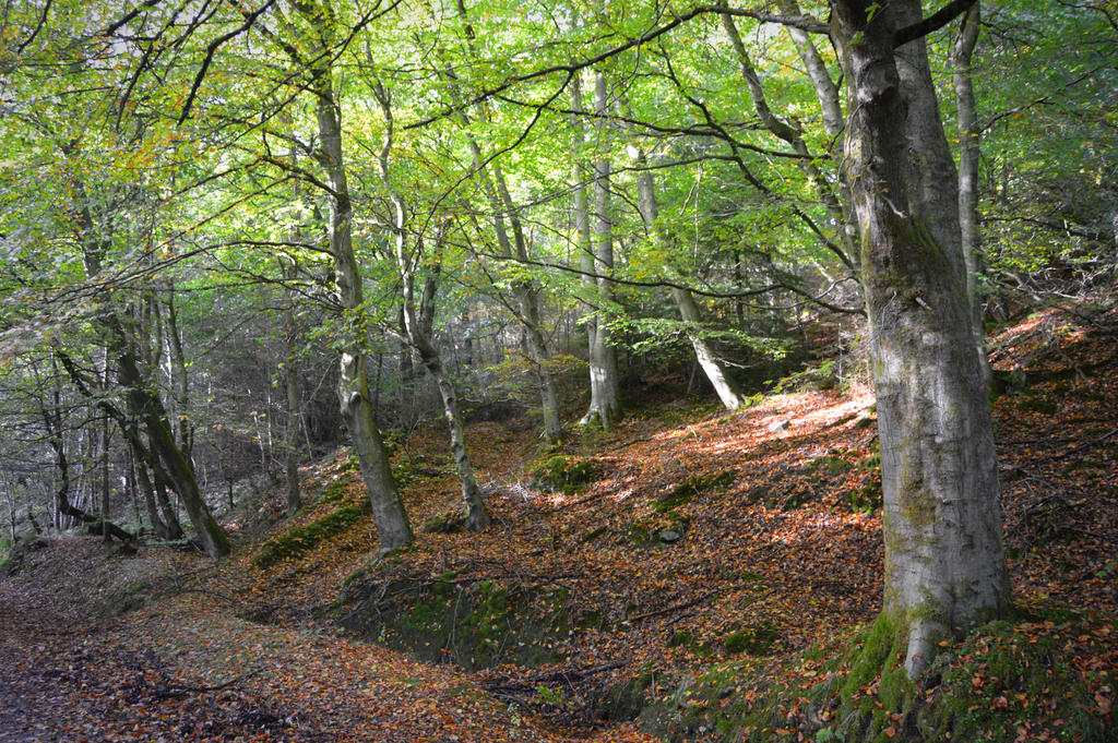 Between Seasons by MVVincent on DeviantArt