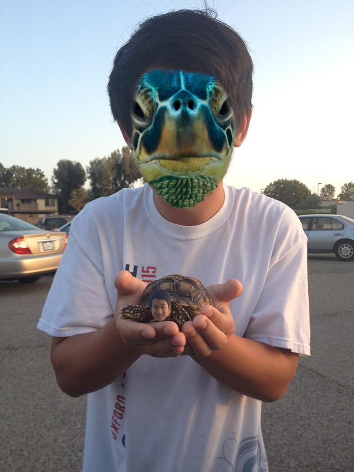 Turtle/Human Face Swap by itsanorange on DeviantArt