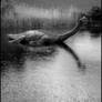 Nessie