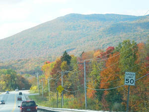 Foliage in Vermont