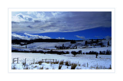 Winter Fields