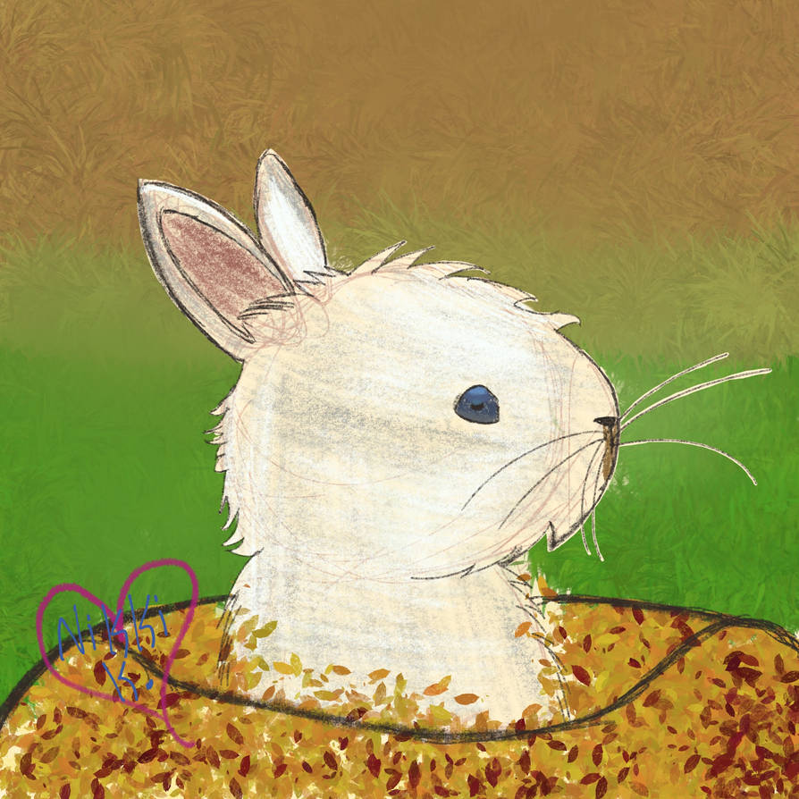 Bunny sketch 4