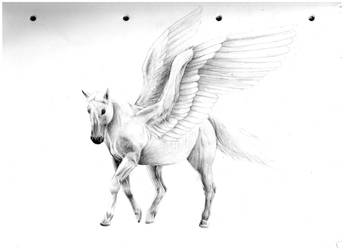 Pegasus