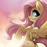 Flutter in the sky!